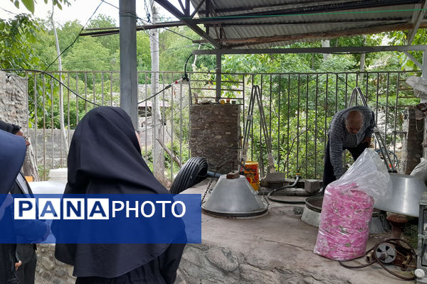 بازدید دانش‌آموزان جعفرآباد از کارگاه گلاب‌گیری روستای «بنابر»