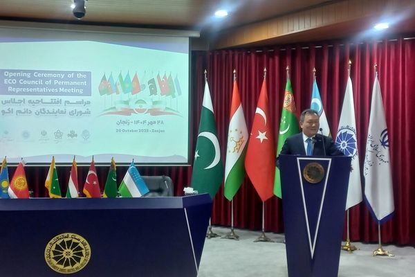  نقش مهم توسعه همکاری‌های منطقه‌ای برای آینده‌ای بهتر 