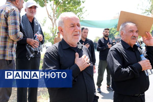 پیاده‌روی جاماندگان اربعین در شهرستان لنجان 