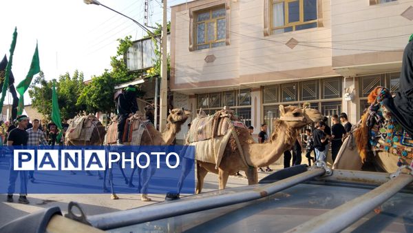 علم‌ گردانی آیین‌ هر ساله‌ شهر وردنجان