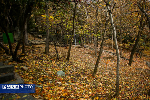 پاییز خیال انگیز در پارک جمشیدیه