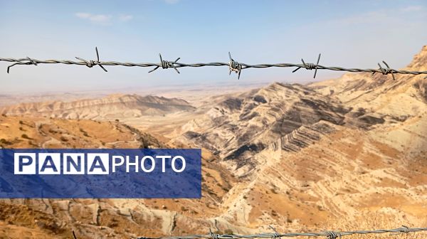 از بن تا بازی دراز؛ گام به گام با راویان نور