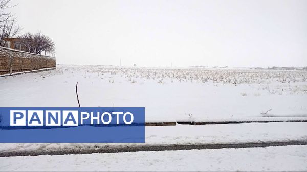 شازند سفیدپوش شد