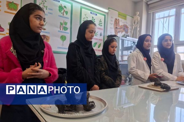 برگزاری مسابقات و درخشش نخبگان جوان در رقابت علمی دبیرستان هیات امنایی مقربی