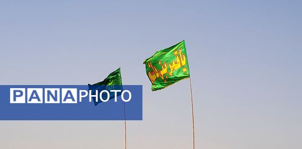 گام هایی از جنس عشق به امام رضا (ع)