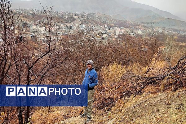 چهره شفاف و دل انگیز شهربارنیشابور با بارش  باران پاییزی  