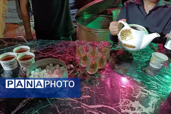 عزاداری و پذیرایی از عزاداران امام رضا (ع) در موکب الرقیه (س)