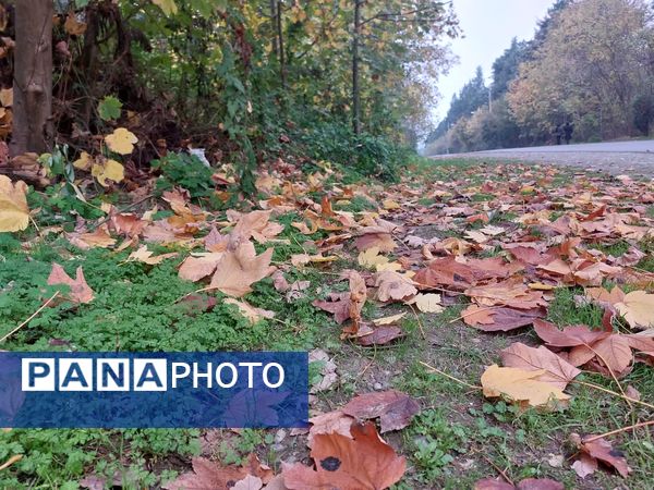 کردکوی، سرسبزترین شهرستان گلستان