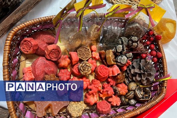 پایان کار نمایشگاه گیاهان دارویی پژوهش‌سرای کاوش کهریزک 