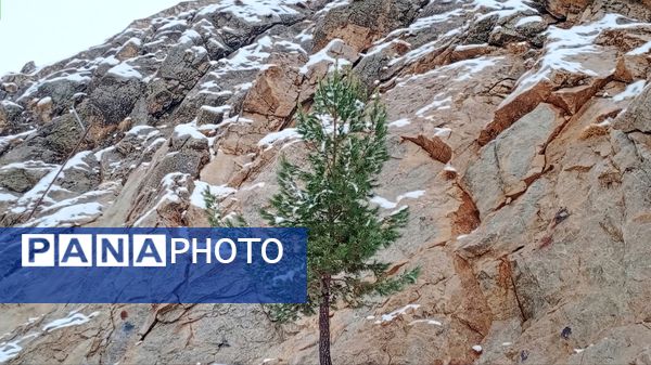 گرداب بن زیر چتر سپید برف