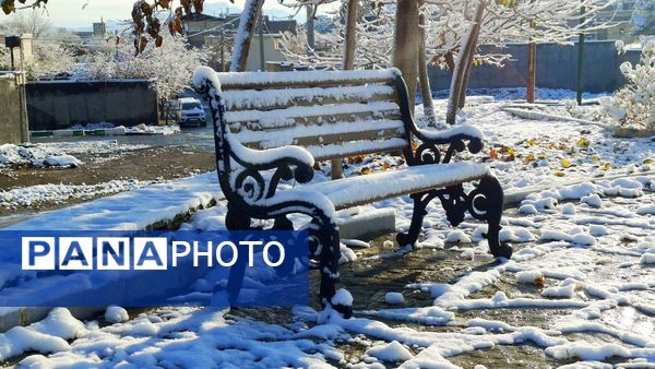 رنگ و بوی زمستان در شهر کهک
