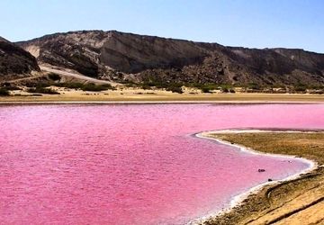 گلفشان نفتلیجه