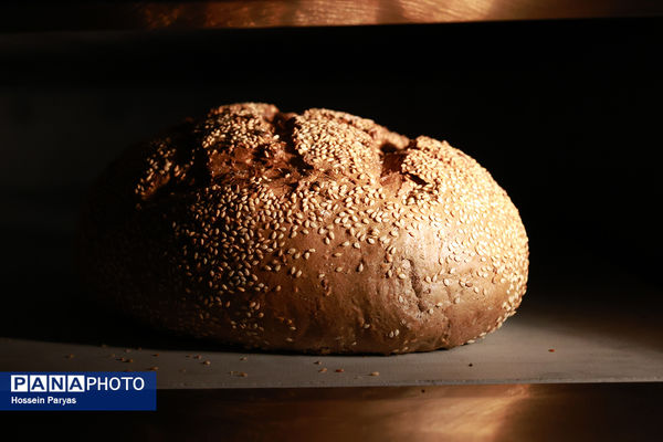 بیست و سومین نمایشگاه بین‌المللی محصولات، مواد اولیه و ماشین آلات شیرینی و شکلات