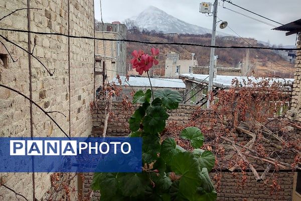 خودنمایی برف در شهر بار نیشابور