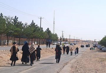 گام هایی از جنس عشق به امام رضا (ع) 