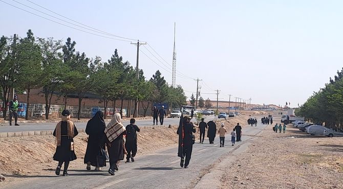 گام هایی از جنس عشق به امام رضا (ع) 