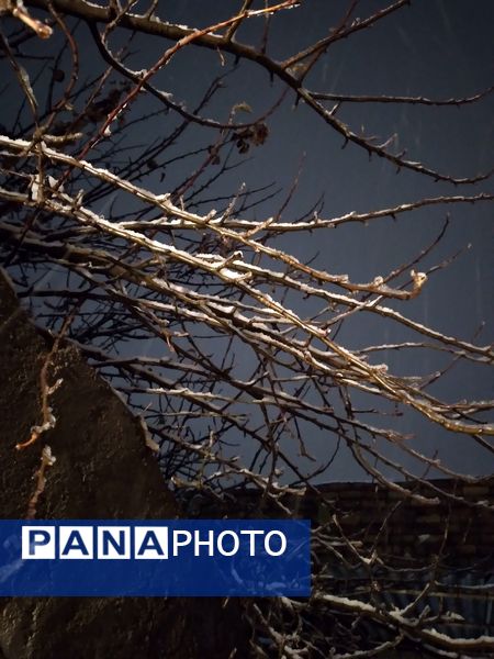 گذری بر دقایق اول بارش برف پاییزی در نیشابور 