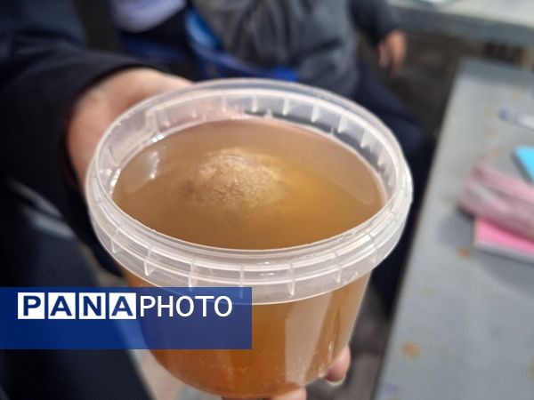 اجرای آزمایش‌های جذاب توسط دانش‌آموزان پایه های هفتم مدرسه انیس خوش قدم 