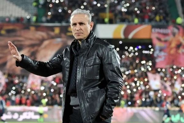 گل‌محمدی در فولاد ماندنی شد
