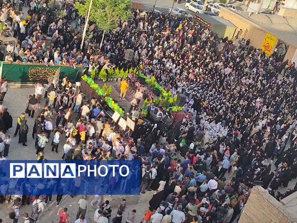 از خاک حیدری تا افلاک رضوی 