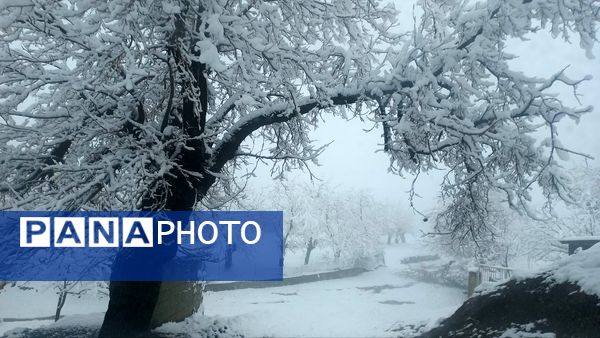 بارش برف در ارتفاعات شاندیز