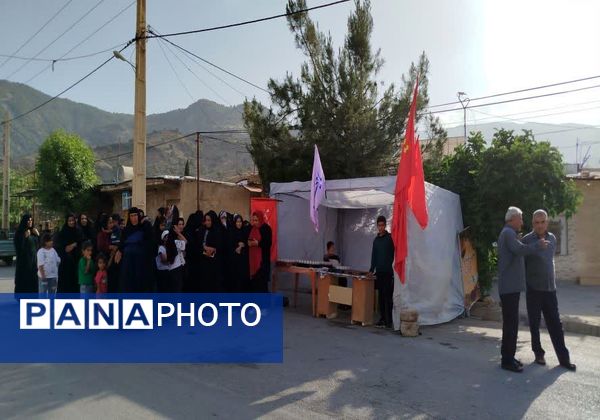 استقبال پر شور مردم چاروسا از کاروان خدام رضوی