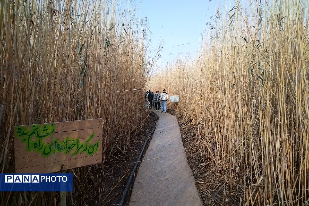 راهیان نور؛ سفری به قلب ایثار و شهادت 