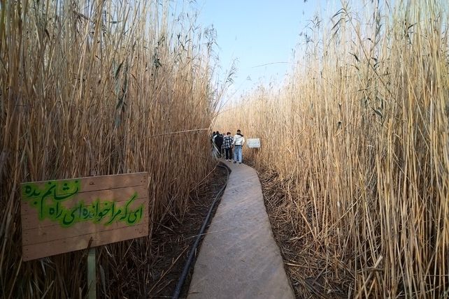 راهیان نور؛ سفری به قلب ایثار و شهادت 