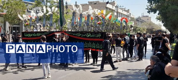 پیاده‌روی زائران بارگاه ملکوتی آقا علی‌بن‌موسی رضا (ع)