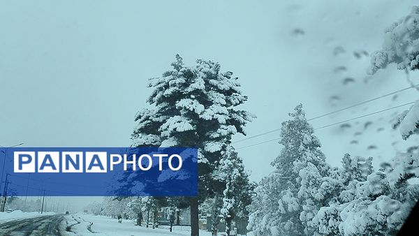 جلوه های زیبا از بارش برف در شهرستان نیشابور 