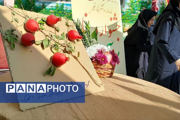 جشنواره انار در دبیرستان حجاب ورامین
