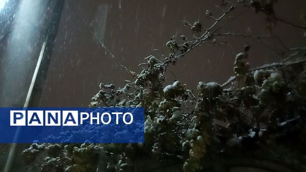 گذری بر دقایق اول بارش برف پاییزی در نیشابور 