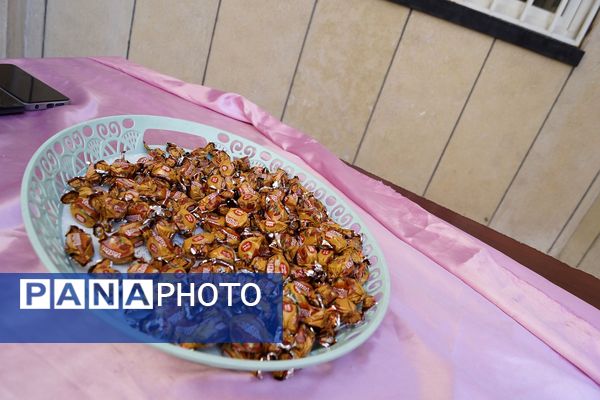 جشن روز دانش‌آموز در مدرسه شهدای پانزده خرداد قرچک