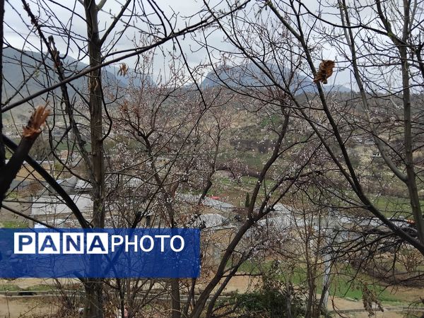  فصل بهار در میانکوه