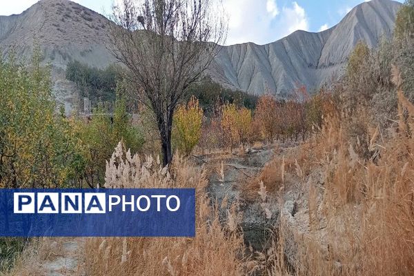 تصاویر زیبا از پاییز رنگارنگ در شهر دار السادات بار نیشابور 