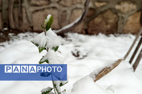 یک روز برفی در روستای بنادکوک‌ دیزه
