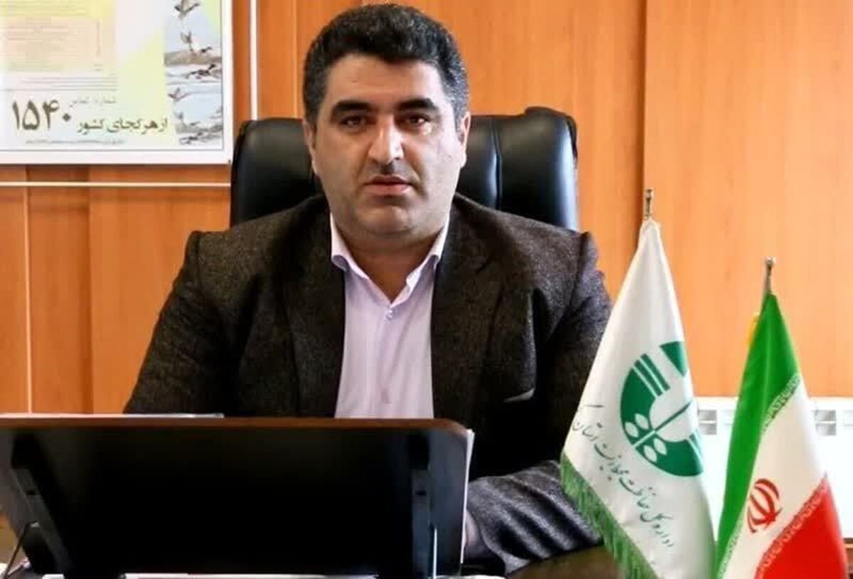 فوک خزری واحتمال تلفات با آنفولانزای فوق حاد پرندگان