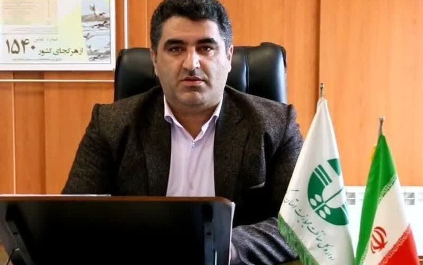 فوک خزری واحتمال تلفات با آنفولانزای فوق حاد پرندگان