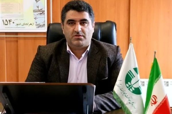 فوک خزری واحتمال تلفات با آنفولانزای فوق حاد پرندگان