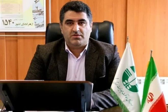 فوک خزری واحتمال تلفات با آنفولانزای فوق حاد پرندگان