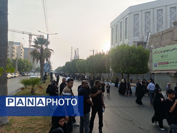جاماندگان اربعین سفر به کربلا با دل و جان 