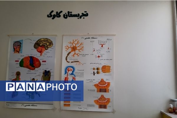 آموزش ماندگار در تجربستان کاوک ناحیه۷ مشهد 