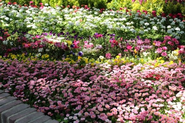 بهار که رفت، اما جا گذاشت چیزی در ما