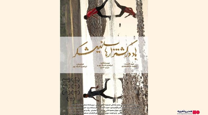 اکران فیلم «باد در کشتزارهای نیشکر» در هنرو تجربه از 17 اردیبهشت