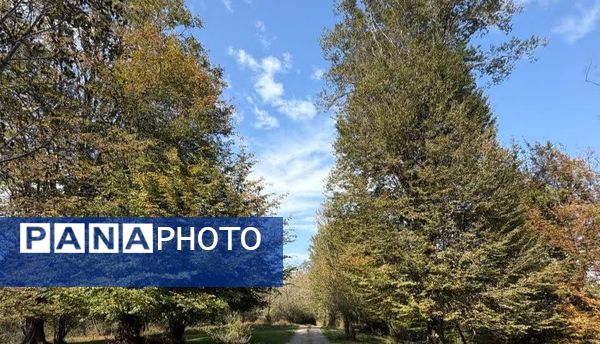 نگین سبز شمال ایران