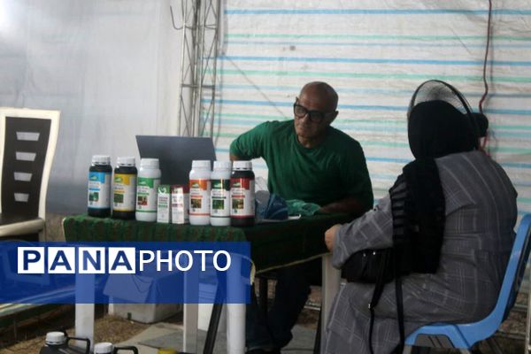 شُکرانه انجیر در گلوگاه 