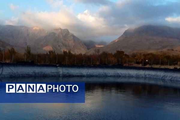 تصاویر زیبا از پاییز رنگارنگ در شهر دار السادات بار نیشابور 