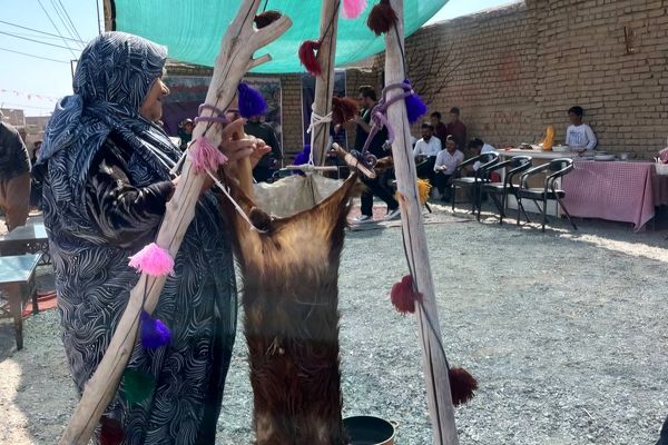 جشنواره گردشگری غذاهای بومی‌ _ محلی 