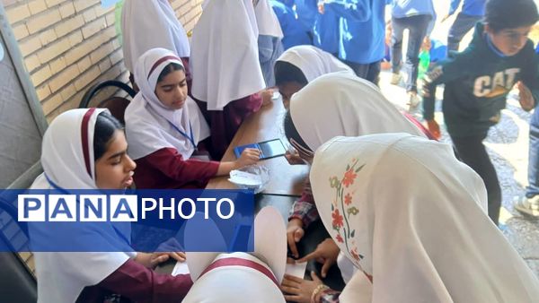 انتخابات شورای دانش‌آموزی دبستان شهید مطهری فین 