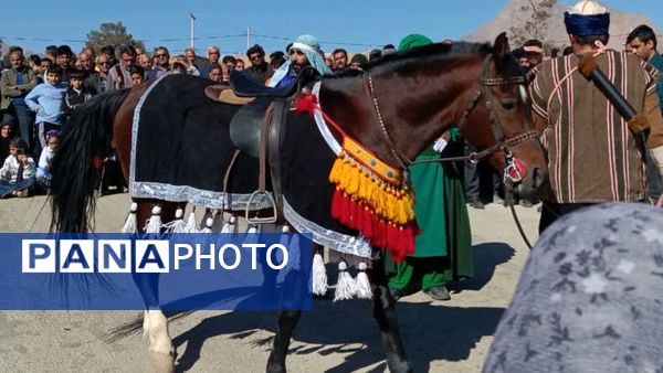 پیاده‌روی رضوی و رونمایی از کتاب «مشهدگ» در سالروز ورود امام رضا(ع) به خرانق اردکان